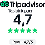 tripadvisor